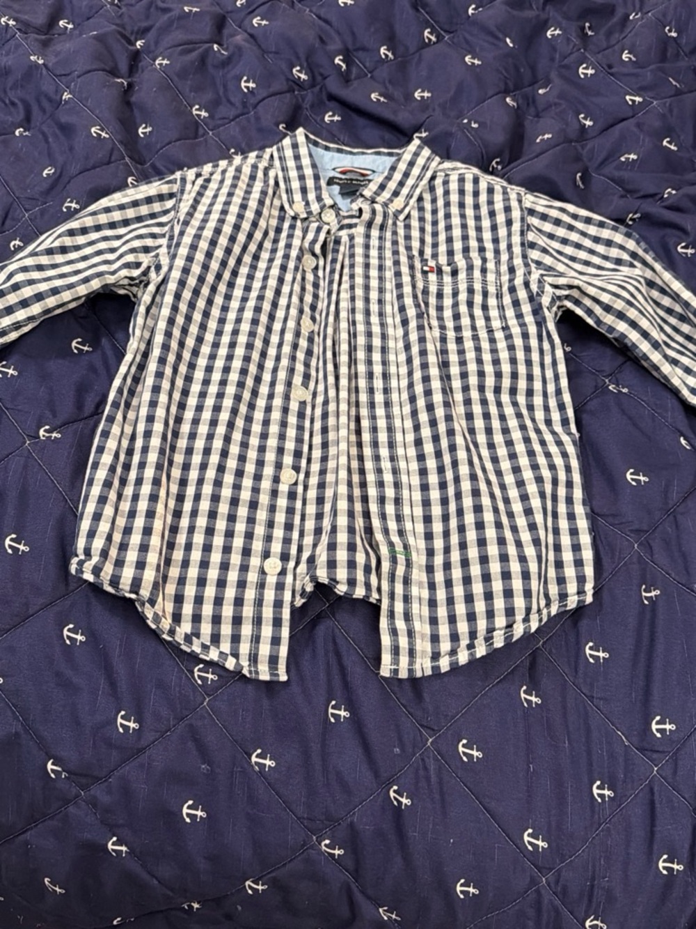 Tommy Hilfiger Navy and White Gingham Button-Down Shirt
